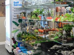 Aquarium afdeling