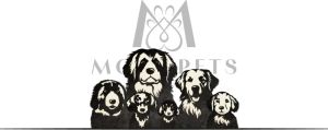 monopets-main-image (1)