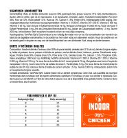 Yamipets Miya Cat Indoor 2