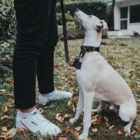 Hunter Looplijn Soft-vollrindleder 5