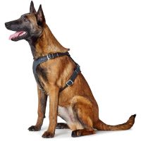 Hunter Y-Tuig Aalborg Soft-Vollrindleder Cognac 3