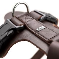 Hunter Y-Tuig Aalborg Soft-Vollrindleder Cognac 2