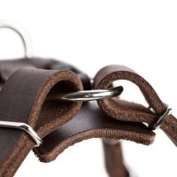 Hunter Y-Tuig Aalborg Soft-Vollrindleder Cognac 4