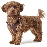 Hunter Y-Tuig Aalborg Soft-Vollrindleder Cognac 5