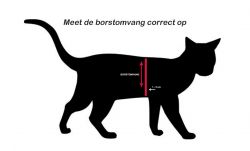 Tre Ponti Liberta Penny Mesh 3