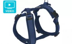 Petlando Mesh Y-Comfort-Harness 8