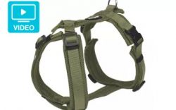 Petlando Mesh Y-Comfort-Harness 7