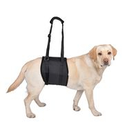 Vetlando Draaghulp 1