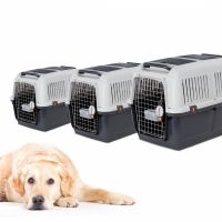 Transportbox Iata Travel 4