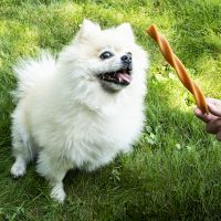 Garden Bites Fruity Dental Swirls 4