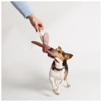 Jule Hondenspeeltje 6