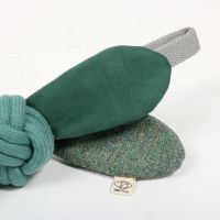 Jule Hondenspeeltje 2