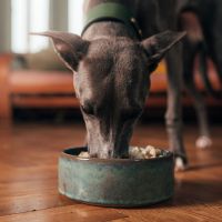 McAdams Freeze Dried Free Range Chicken 3