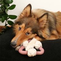 Milou Rosewood Hondenspeeltje 3