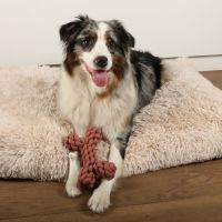 Dente Touwspeelgoed 11