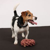 Ben Gevlochten Ring 3