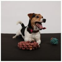 Ben Gevlochten Ring 4