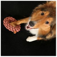 Ben Gevlochten Ring 5