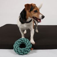 Ben Gevlochten Ring 9