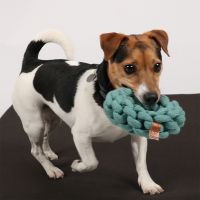 Ben Gevlochten Ring 10