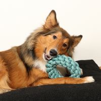 Ben Gevlochten Ring 11