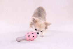 Speelgoed Puppy Benty Kegel Roze 3