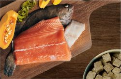 McAdams Extra Joint Care Freeze Dried Salmon & Sole 4