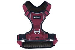 Petlando Outdoor Harnas Hondentuig Bordeaux 2