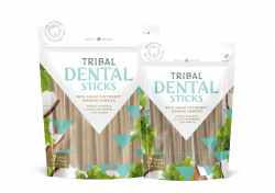 Tribal Dental Stick Small 5