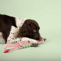 Hondenspeeltje Twisting Tugger groen/roze 4