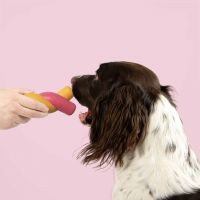 Hondenspeeltje Twisted S'mores geel/roze 3