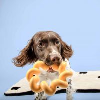 Hondenspeeltje Sunny geel 3