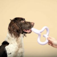 Hondenspeeltje Funky paars 2