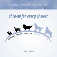 Micro Bones Vanille 1kg 5