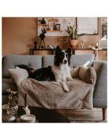 Nuzzle Sofa Bed Taupe 8