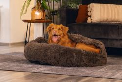 Hondenmand Pluche Bruin 5