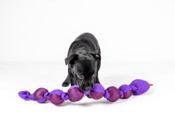 Speelgoed Snala Slang Emoji Paars 2