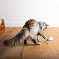 Elektronisch Kattenspeeltje Mouse On The Move Wit 4