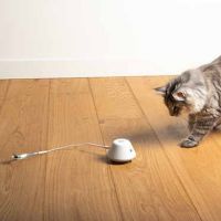 Elektronisch Kattenspeeltje Twisting Tank Wit 3