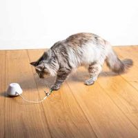 Elektronisch Kattenspeeltje Twisting Tank Wit 4