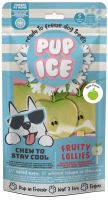 Pup Ice Hondenijsje Fruit Lollie Appel pak a 3 stuks 1
