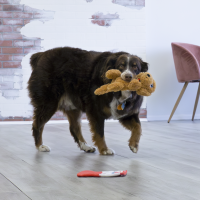 Kong Comfort Pups Goldie 4