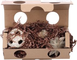 Speelgoed Hopsie Bruin 3