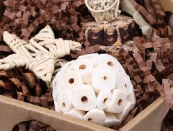 Speelgoed Thumper Bruin 2