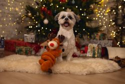 Rendier Spiraal Kerstspeelgoed Pluche Bruin 2