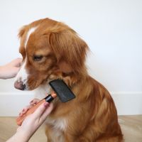 Japandi Slickerborstel Bruin 8