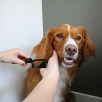 Japandi Ontwarkam 34 Bruin 3