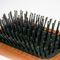 Japandi Pinnenborstel Bruin 3