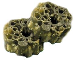 Knash Woofa Loofa Bites Dental Mint/Parsley 2