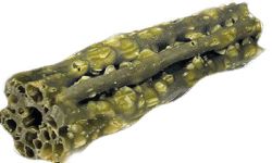Knash Woofa Loofa Dental Medium Mint/Parsley 2